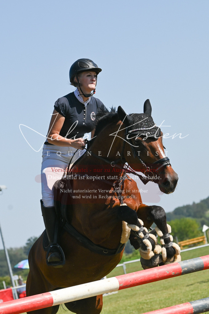 DSC_6427 | Pferde- und Turnierfotografie in Westsachsen. Pferdeportraits, Auftragszeichnungen und intuitive Kunst.