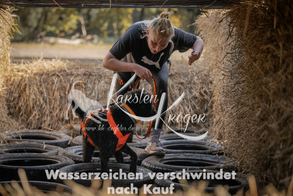 1051_ZZ99414 | kk-dogfotos