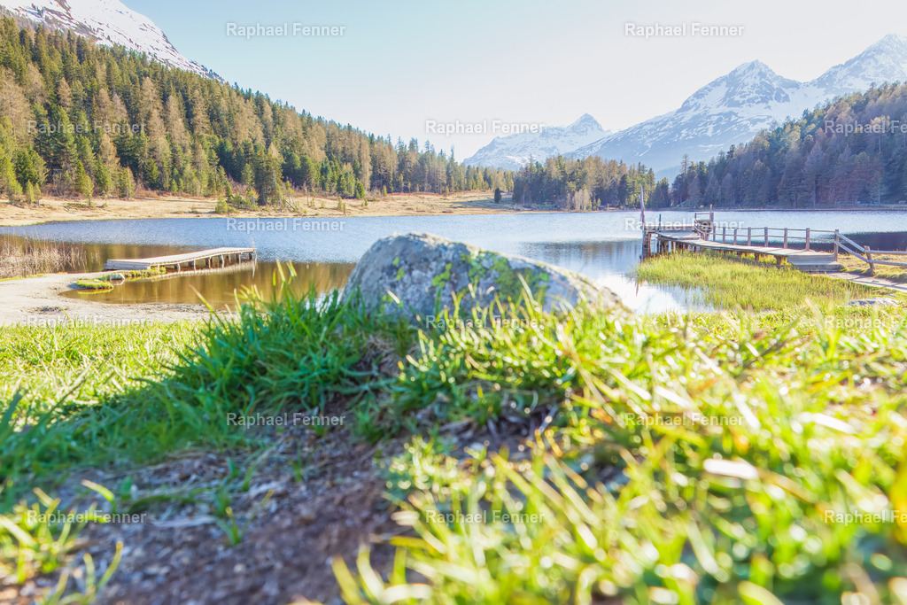 Frühling am Lej da Staz im Engadin | Einzigartige Frühlingsstimmung am Lej da Staz bei St. Moritz. Das Engadin zeigt sich in voller Farbenpracht – ein harmonisches Zusammenspiel aus Natur, Licht und Ruhe. Perfekt für Liebhaber alpiner Landschaften.