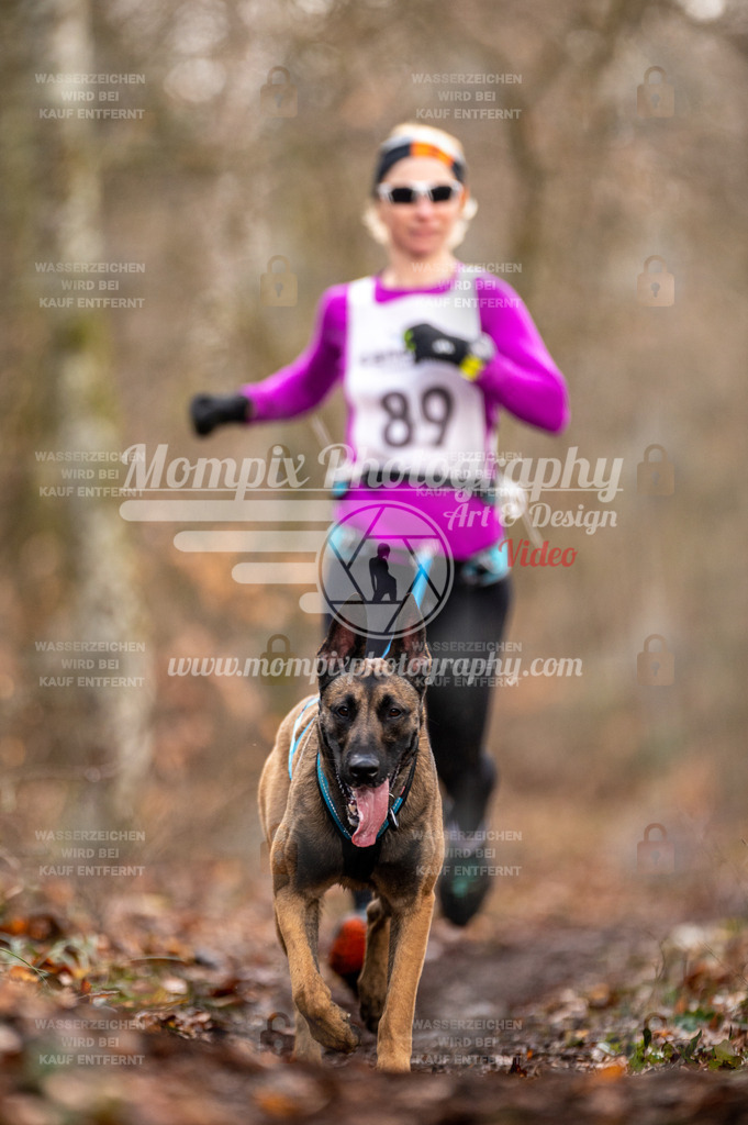 Reiat2023_SON_CaniXRun_8km_W-10 | PayLife