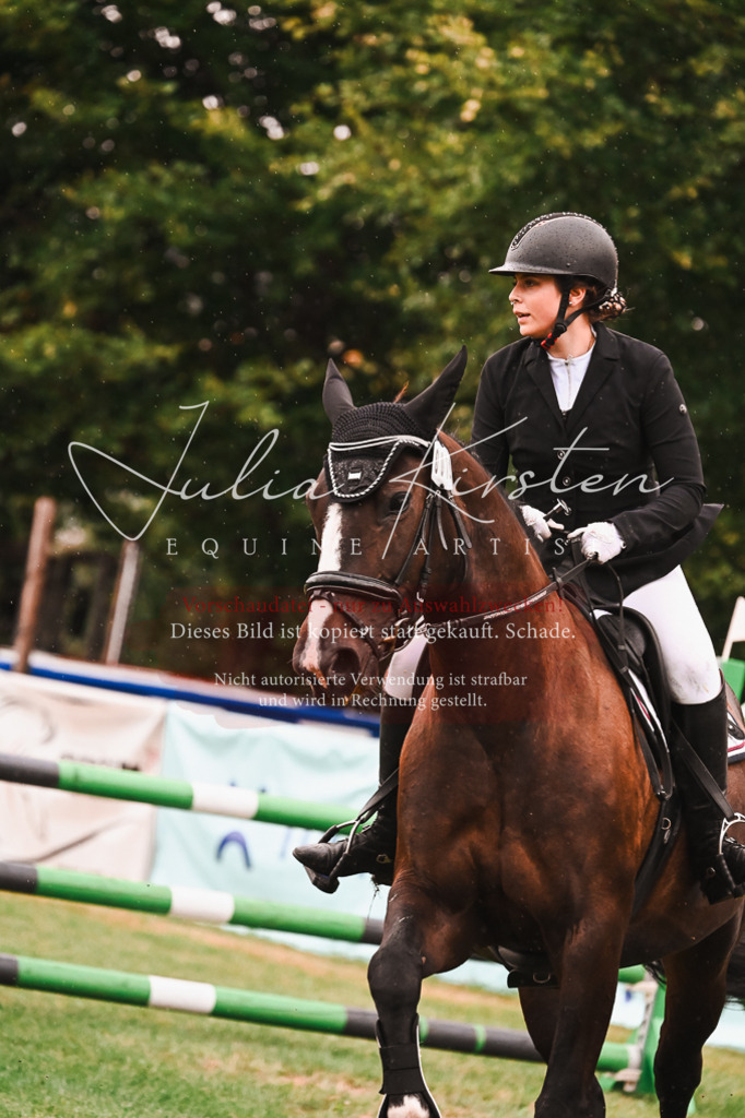 DSC_6325 | Pferde- und Turnierfotografie in Westsachsen. Pferdeportraits, Auftragszeichnungen und intuitive Kunst.