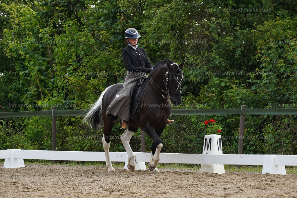 KlasseL_Lucie1069 | working equitationturnier fotograf videograf stoibphotography marixx film working equitation deutschland reitsport turnierfotografie eventfotografie equestrian events