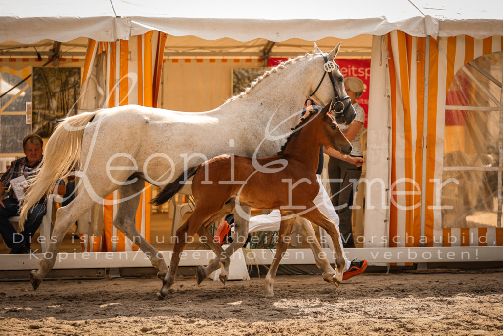 09.DoWBD00110 | Leoni Ertmer Photography - Realisiert mit Pictrs.com