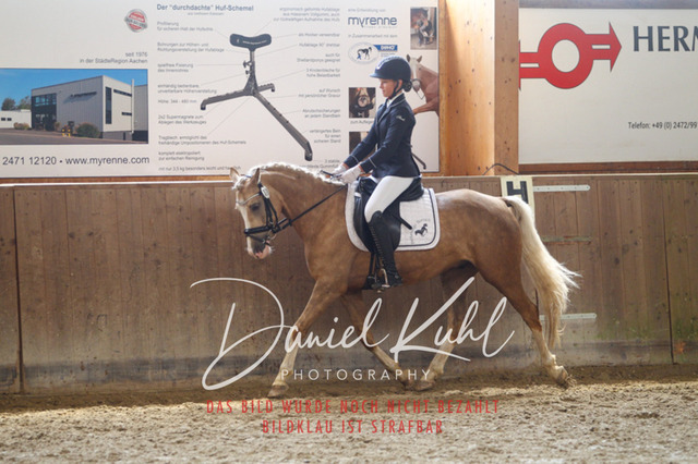 DKP45351 | Turniersportfotografie; Pferdefotografie; Dressurfotografie