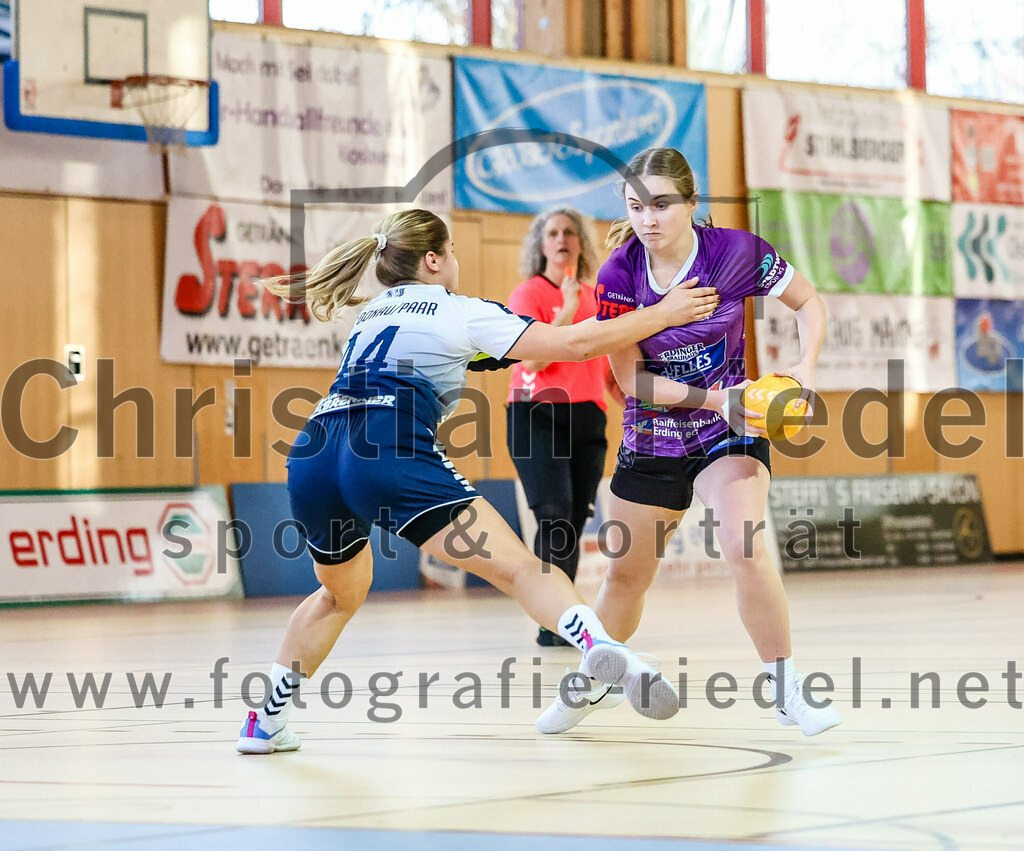 2023-12-16_059_SpVgg_Altenerding_gegen_HC_Donau-Paar_II | Erding, Deutschland, 16.12.2023:
Handball, Bezirksoberliga Frauen Altbayern 2023 / 2024, 10. Spieltag, SpVgg Altenerding gegen HC Donau/Paar II, Endergebnis: 22:22

Foto: Christian Riedel / fotografie-riedel.net