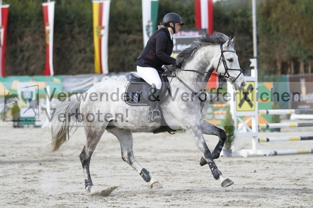 _MG_8191 | equestrian-live-com