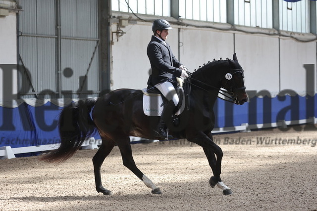 Pforzheim_2024_Prfg.Nr.12_Dressurreiterprfg.Kl.M_Nürnberger-Burgpokal_Lucca Pfeil_Diamond Lady P (11) | Alle Fotos der Reiterjournal Fotografin Doris Matthaes im Reiterjournal Online-Fotoshop. - Realisiert mit Pictrs.com