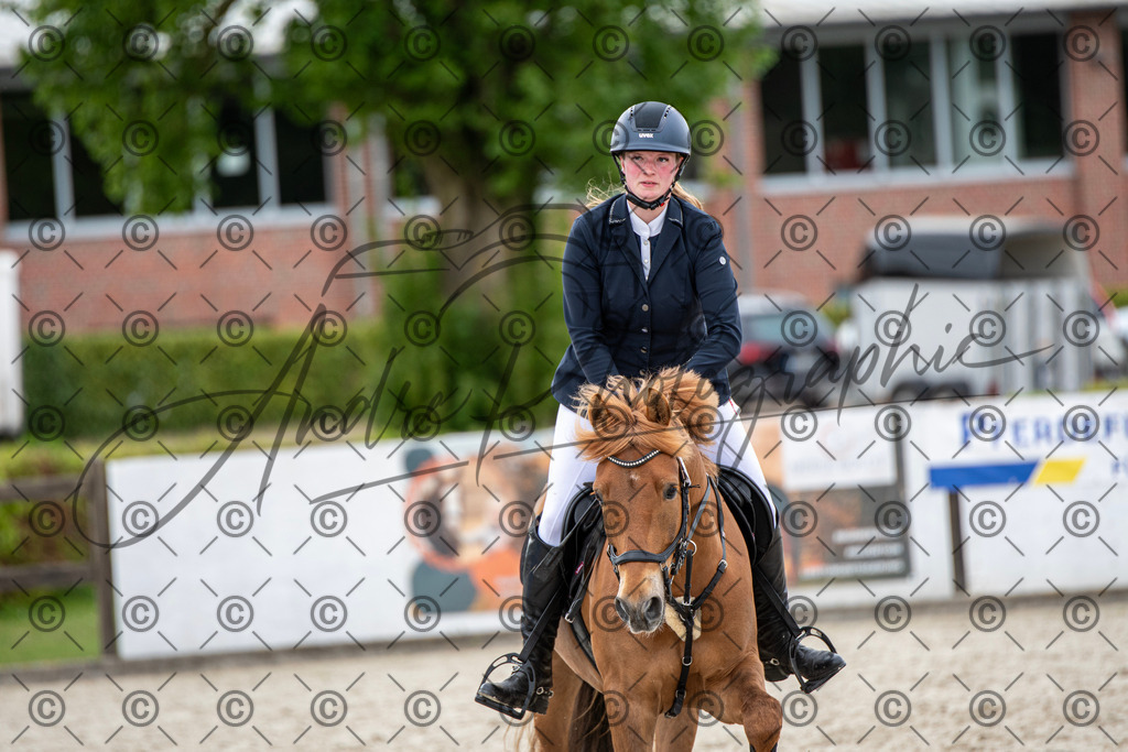 KPT_6403 | andre_photographic