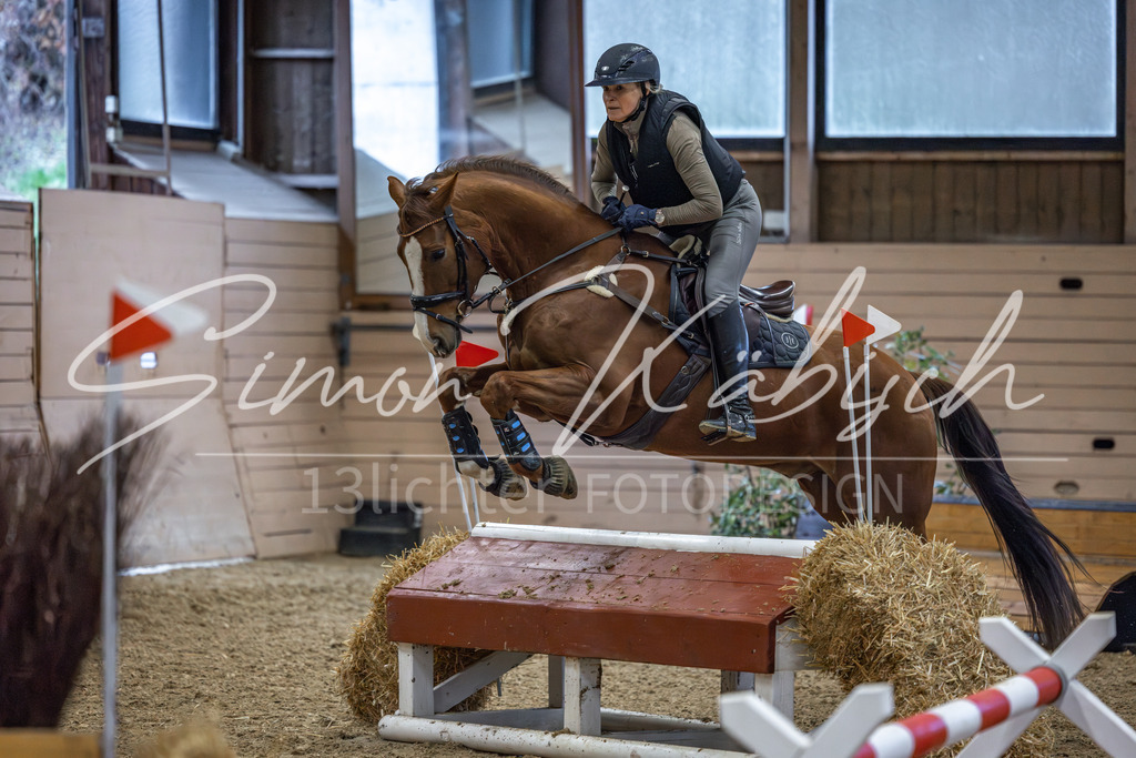 20260222-_3LI1181 | Tierfotografie Pferde, Hunde, Katzen, Haustiere.
Turnierfotografie Reitturniere, Reiten, Springreiten, Dressur in Hanau, dem Main-Kinzig-Kreis und dem Rhein-Main- Gebiet um Frankfurt