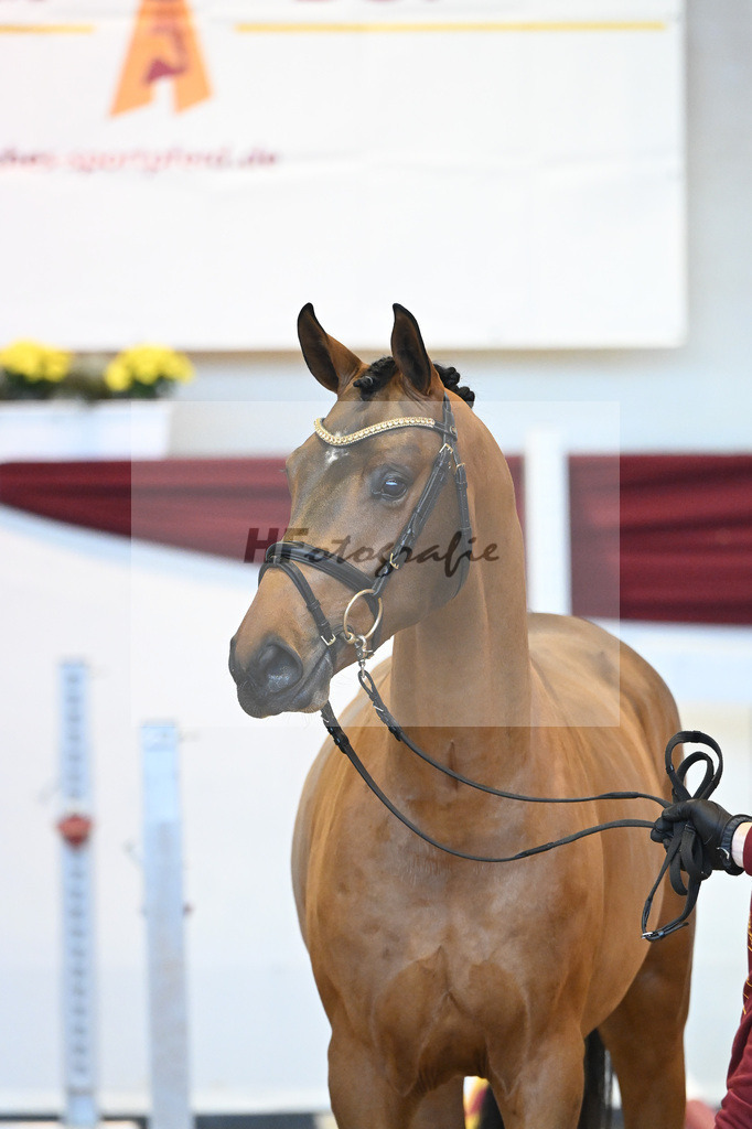 Kat-Nr. 62 v. Asti Spumante_Muehlbauer_66221400 | hf-fotografie - Realisiert mit Pictrs.com