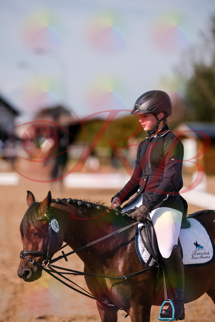 2026_10_03_Siefer-Hof_120520_Z81_07162857 | Professionelle Reitsport-, Turnier- und Eventfotografie von Robert Broda. Galerien mit ausgewählten und bearbeiteten Bildern direkt online ansehen und bestellen.