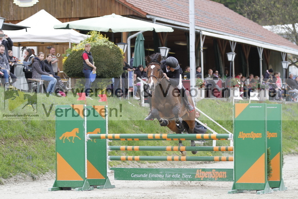 _MG_4207 | equestrian-live-com