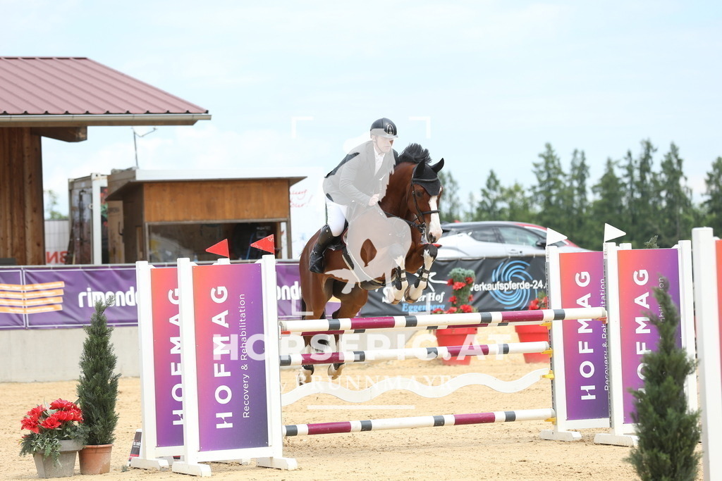 DL2Q2339 | Willkommen bei Brunnmayr - Design & Fotografie – Ihrem Spezialisten für Reitturniere und Pferdeveranstaltungen in Oberösterreich, Salzburg und Bayern! Seit über 17 Jahren sind wir leidenschaftlich dabei.