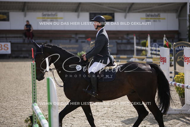 1J2A7725Cedric Becat_ Bismarck von der Streem_ Kn058_ Havekost | Foto- und Videografie für alles rund ums Pferd. Hochwertige Bilder und Videos vom Spring- und Dressurreiten, Voltigieren & mehr. Jetzt aktuelle Veranstaltungen und Preise im Shop ansehen. - Realisiert mit Pictrs.com