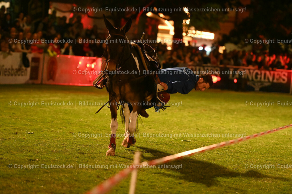 20230526_Pferdenacht_1216 | equistock