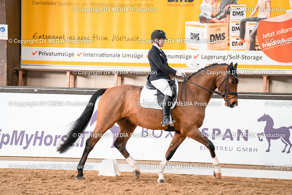 Kranichstein Tag 1-018 | dv-media-shop - Realisiert mit Pictrs.com