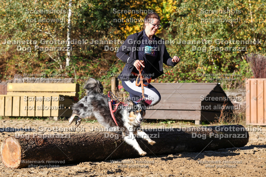 Dog Paparazzi - Strongdog 10-25-1529 | Dog Paparazzi Jeanette Grottendiek Fotografie & Videografie - Realisiert mit Pictrs.com