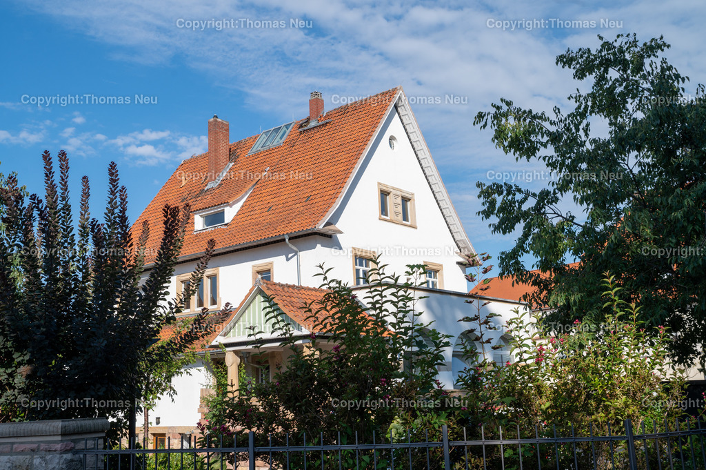 DSC_0676 | smb, Stadtmagazin 67, Metzendorfrundgang, Heidelberger Straße 37, , Bild: Thomas Neu