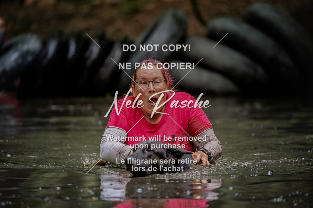 nelerasche_SaWingst1130-1200_387 | nelerasche