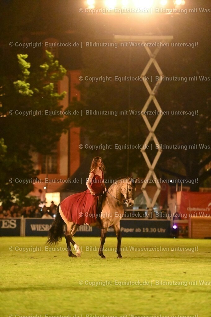 20230526_Pferdenacht_1380 | equistock