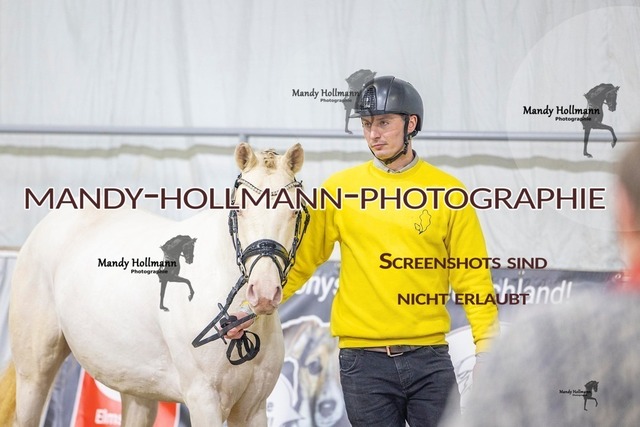 40 (27 von 51) | mandyhollmannphotographie