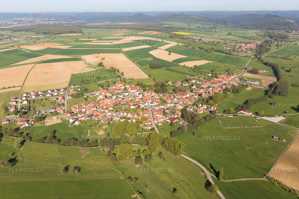 Vue aérienne: Champs agricoles et terres arables à Mulhausen dans le département Bas Rhin, France. Photo: IMG_099452.jpg prise le 30/04/2017 par Werner Riehm/FLY-FOTO.eu – Résolution de l'original: 5345 x 3563 px