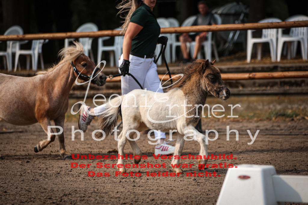 1.Fr00039 | Leoni Ertmer Photography - Realisiert mit Pictrs.com