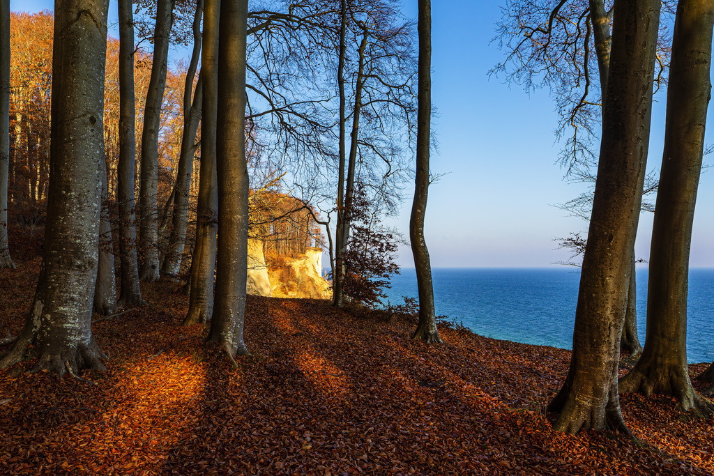 Kreidefelsen im Herbst an der Küste der Ostsee auf der Insel Rügen | Kreidefelsen im Herbst an der Küste der Ostsee auf der Insel Rügen.
