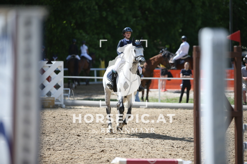 PP011680 | Willkommen bei Brunnmayr - Design & Fotografie – Ihrem Spezialisten für Reitturniere und Pferdeveranstaltungen in Oberösterreich, Salzburg und Bayern! Seit über 17 Jahren sind wir leidenschaftlich dabei.