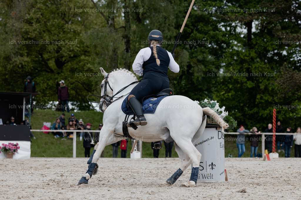 PI26_SP_StoibphotographyC2_C0400.jpg | working equitationturnier fotograf videograf stoibphotography marixx film working equitation deutschland reitsport turnierfotografie eventfotografie equestrian events