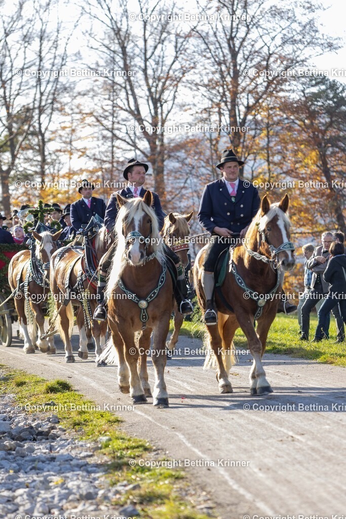 LBT24-1225 | foto-bettina-krinner - Realisiert mit Pictrs.com