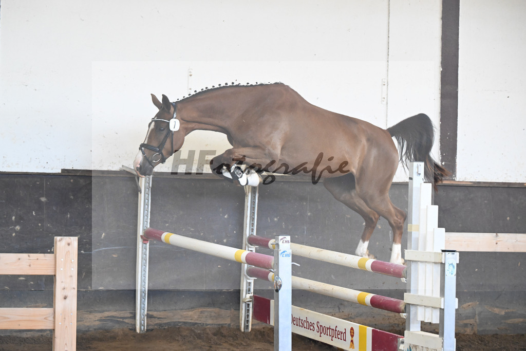 Kat-Nr. 7 Triys v. Chardonnay_Wimmer_19250062 | hf-fotografie - Realisiert mit Pictrs.com