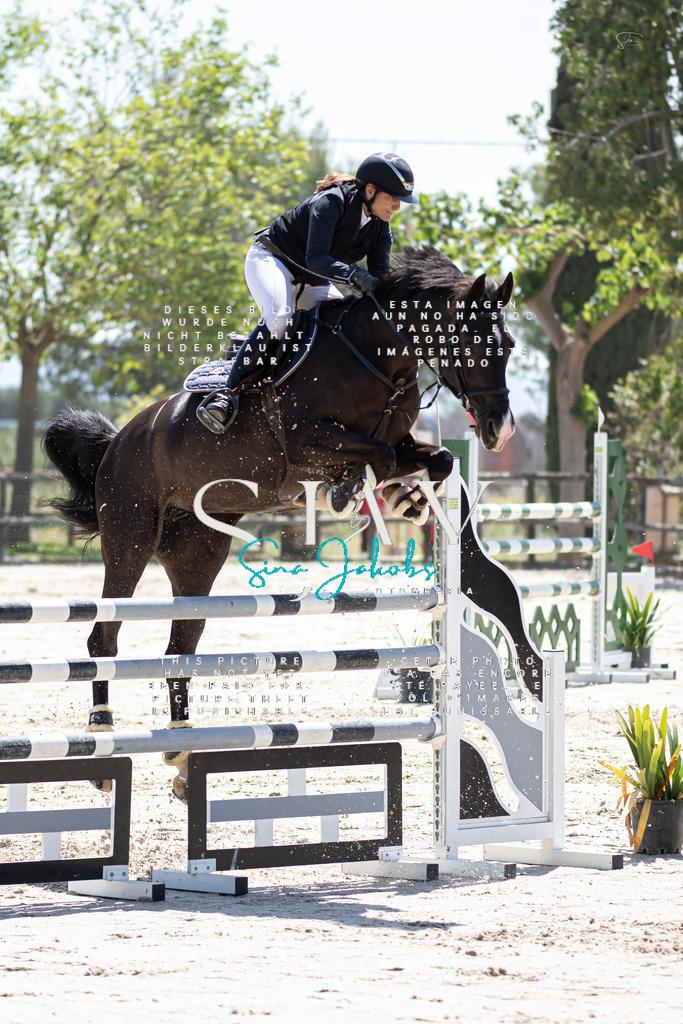 IMG_0087 | s-jay-photography - Realisiert mit Pictrs.com