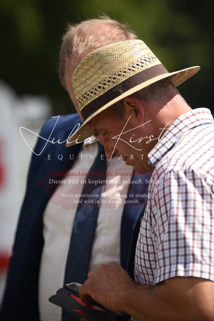 DSC_6246 | Pferde- und Turnierfotografie in Westsachsen. Pferdeportraits, Auftragszeichnungen und intuitive Kunst.