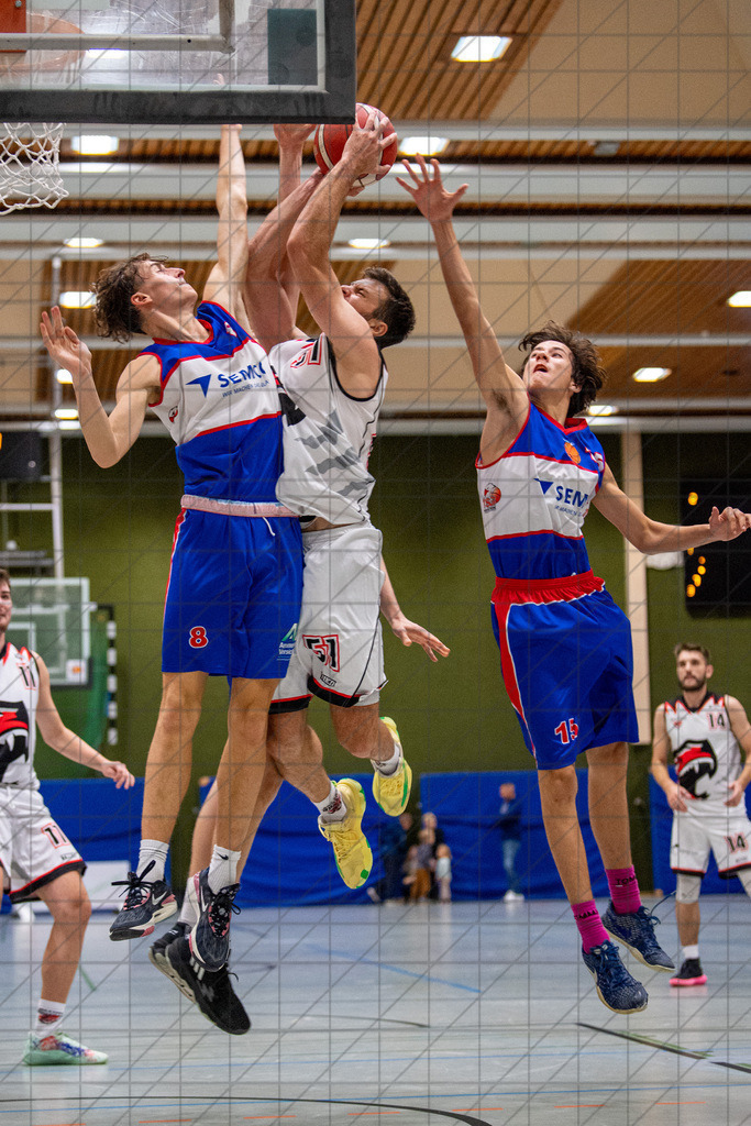 2. RL West | 05.10.2024 | Bad Essen vs. TSG Westerstede 2 | 2. RL West | 05.10.2024 | Bad Essen vs. TSG Westerstede 2 - - - - - CREDIT, www.bullenfotos.de, Martin König, Hörner Weg 40, D-49078 Osnabrück, +4917663732967, Nutzung und Weitergabe nur zu den vereinbarten Zwecken. Presseanfragen an Ersteller. Alle Rechte beim Ersteller. - - - - - - Realisiert mit Pictrs.com