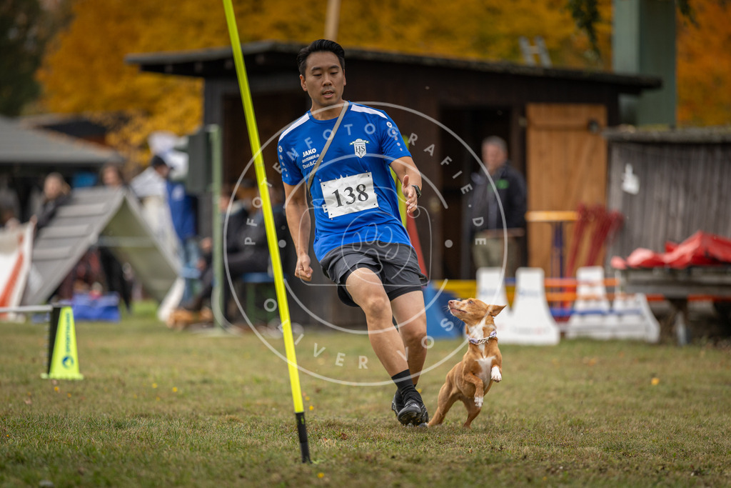 Pfotenfotografie_DV3A7880 | Hundefotografie, Tierfotograf, Pfotenfotografie, Fotoshooting Hund, Hunde Portrait, Hundesport, Hundeportraits, Heideshooting, Hunde, Sportfotograf, Hundefotograf, Turnierhundsport, THS,  - Realisiert mit Pictrs.com