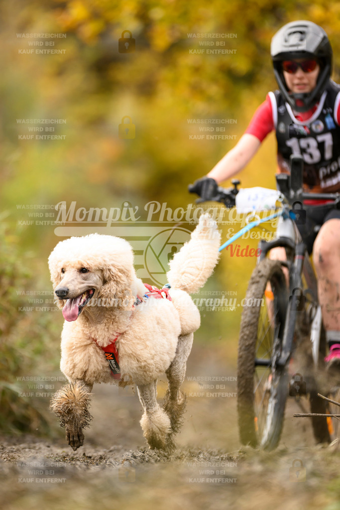 MompixPhotography_ICF_WC_2024_SA_Bike_-178 | PayLife