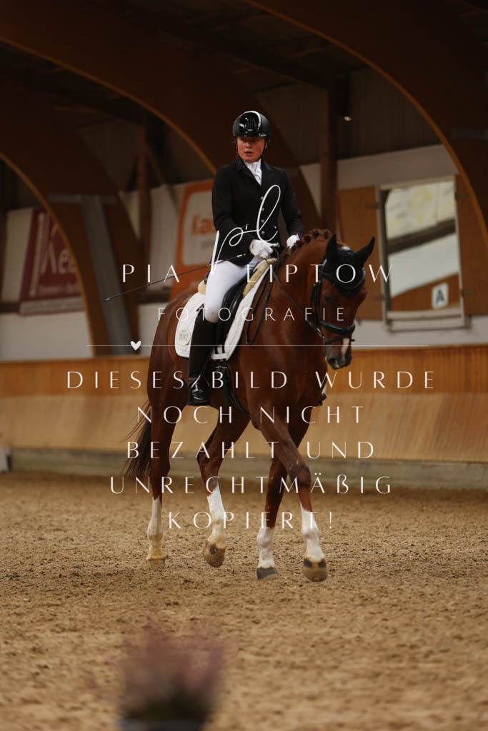 IMGM6029 | pl-fotografie