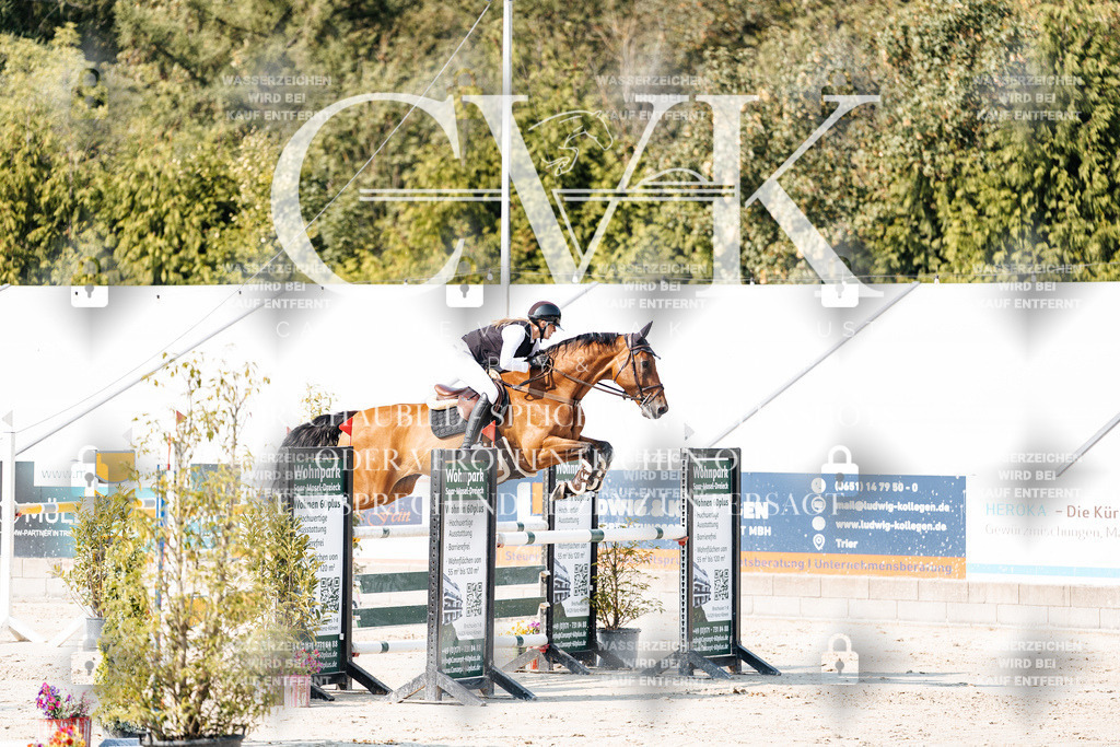 CK902603 | Turnierfotografie Pferdefotografie Trier Rheinland-Pfalz Pferdesport Reitsport Tierfotografie Sportfotografie Pferdevideo Pferdevideografie Equestrianvideography equestrianphotography  - Realisiert mit Pictrs.com