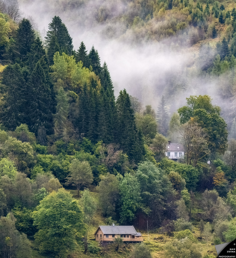 Mist Rising above Fjærlandsfjord | On 16 September 2026, I walked along the western side of Fjærlandsfjord in Norway towards Jordal. The narrow fjord allowed clear views across to the opposite shore, where isolated houses sat among dense forest. Persistent rain had saturated the air with moisture, and wisps of mist slowly rose through the trees, giving the landscape a quiet and atmospheric character. Looking across the fjord, I found myself imagining what it might be like to live in one of these houses, surrounded by nature and the deep sense of calm that defines this remote landscape. - Realisiert mit Pictrs.com