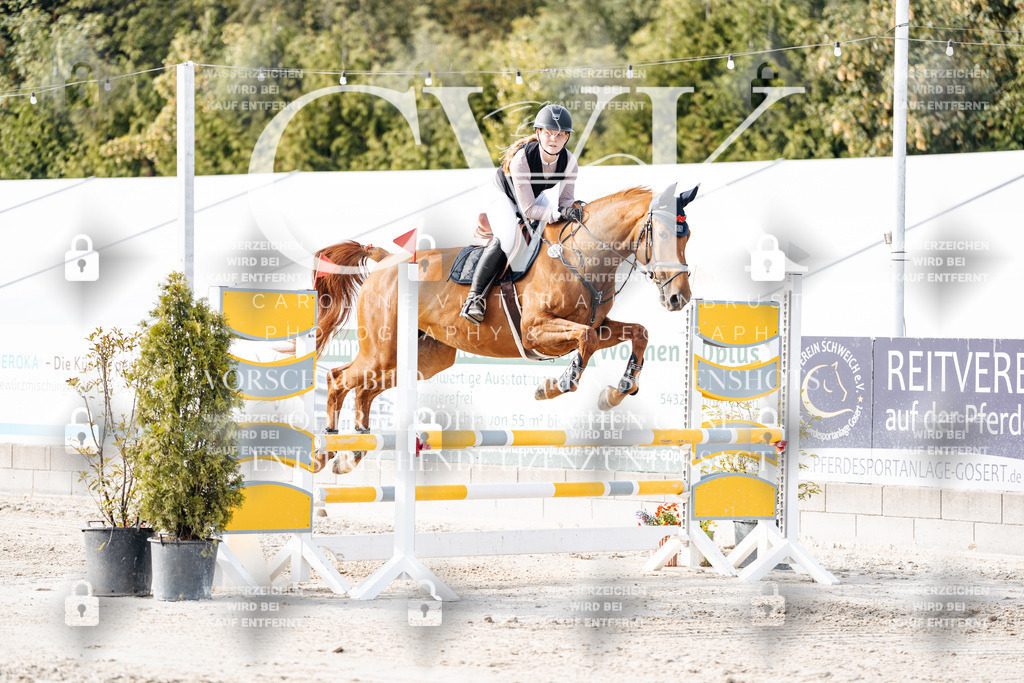 CK906333 | Turnierfotografie Pferdefotografie Trier Rheinland-Pfalz Pferdesport Reitsport Tierfotografie Sportfotografie Pferdevideo Pferdevideografie Equestrianvideography equestrianphotography  - Realisiert mit Pictrs.com