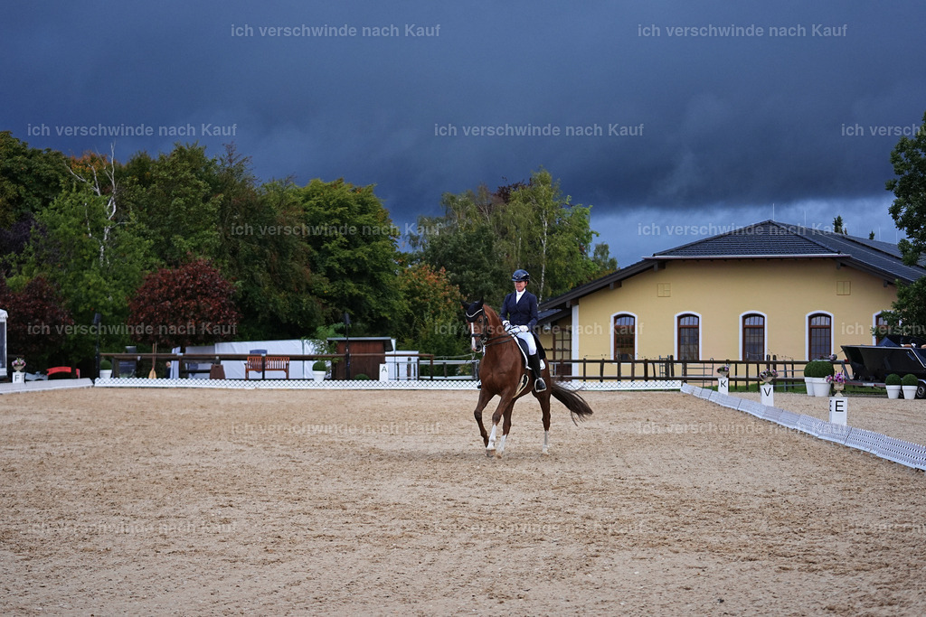 8_2-195-DRESSUR S_  -Marixx-4632 | working equitationturnier fotograf videograf stoibphotography marixx film working equitation deutschland reitsport turnierfotografie eventfotografie equestrian events