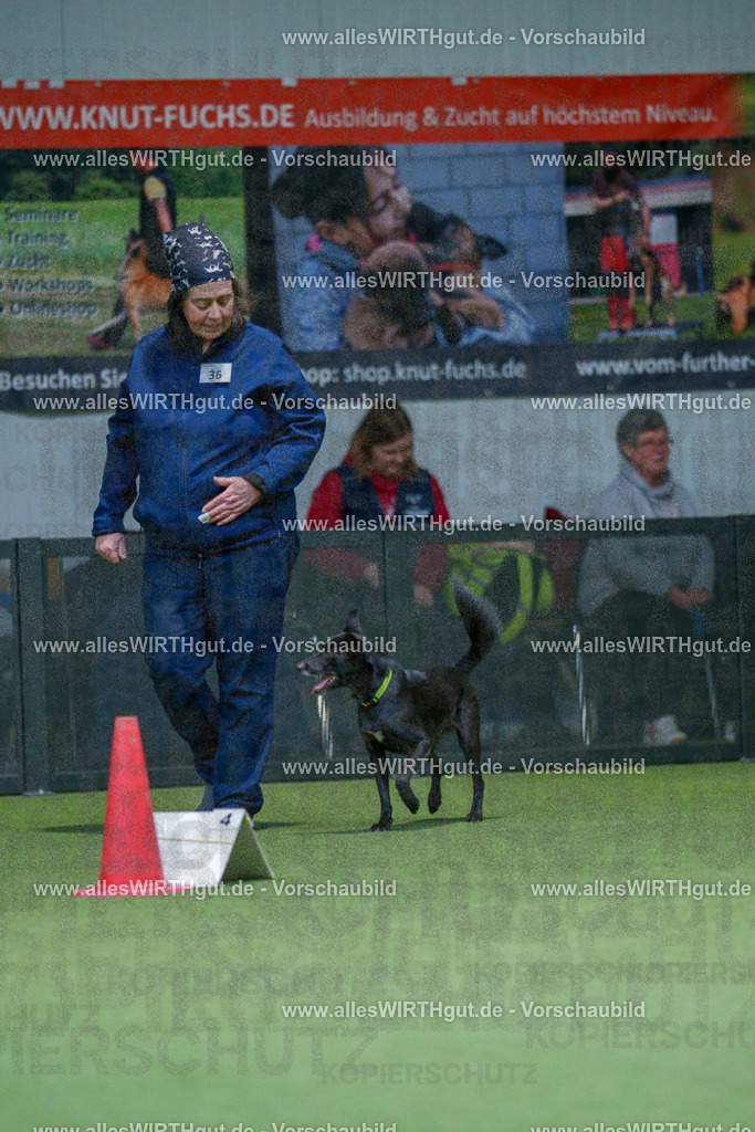 7R505969 | Professionelle Tierfotografie in Mönchengladbach von Daniel Wirth (allesWIRTHgut). Liebevolle & natürliche Bilder von Hunden & Katzen für unvergessliche Erinnerungen.