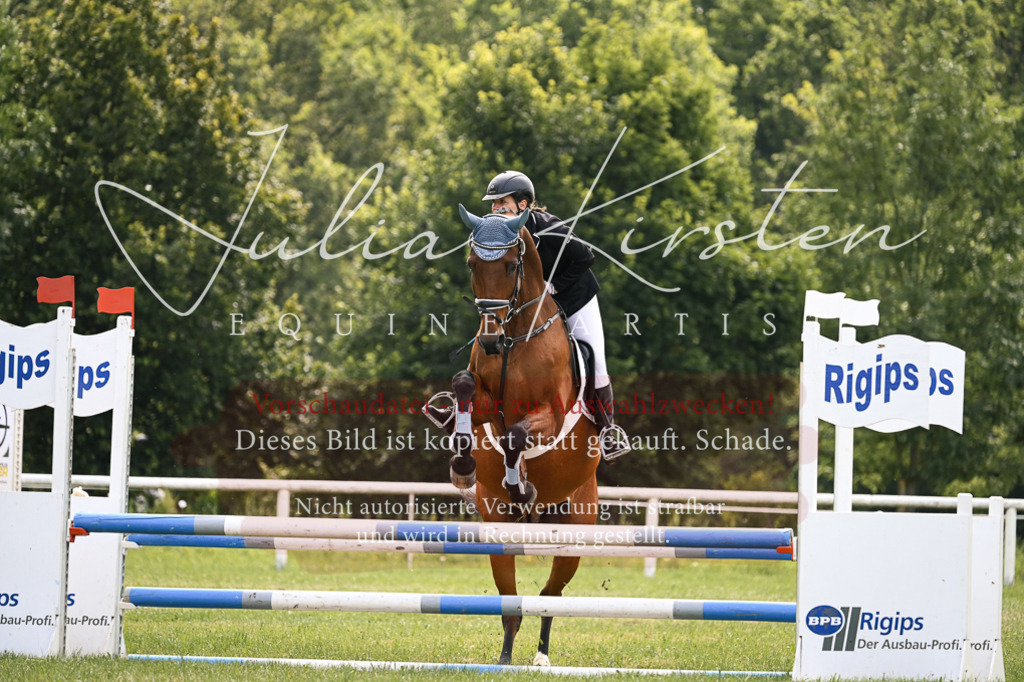 DSC_9158 | Pferde- und Turnierfotografie in Westsachsen. Pferdeportraits, Auftragszeichnungen und intuitive Kunst.