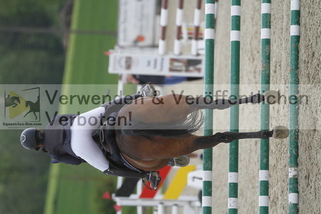 _MG_1874 | equestrian-live-com