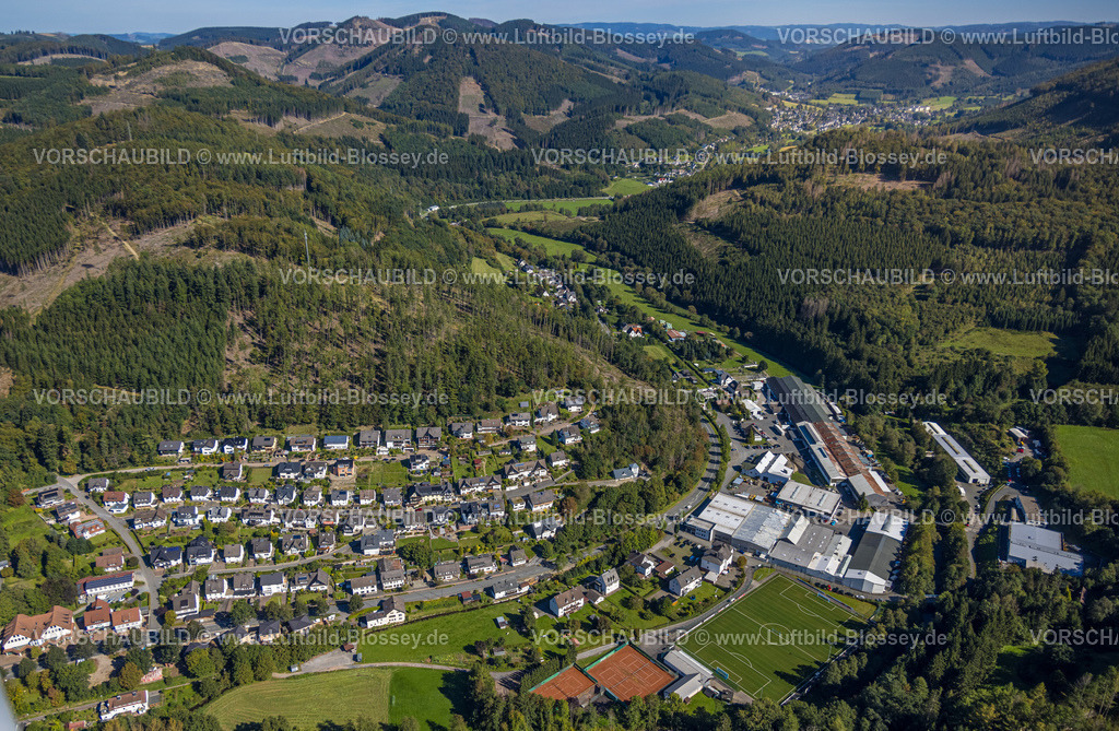 Lennestadt230909860Langenei | Luftbild, Ortsansicht Ortsteil Langenei, Hügellandschaft mit Waldschäden, Langenei, Lennestadt, Sauerland, Nordrhein-Westfalen, Deutschland