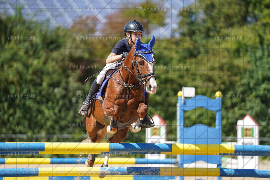 20240824-FAH08326 | Thierhaupten 2024, Bayerisches Landesponyturnier, Turnierbilder, Ponybilder, Turnierfotografen Bayern, Fotoagentur Herrmann