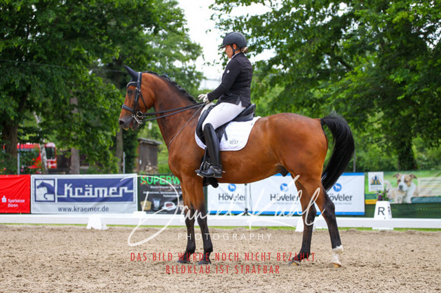 DKP41103 | Turnierfotos kaufen im Webshop von Daniel Kuhl Photography – entdecke professionelle Reitsportfotos aus Turnieren & Events. Hochwertige Turnierbilder online bestellen & sichern. Jetzt Fotos von Reitsportturnieren kaufen!