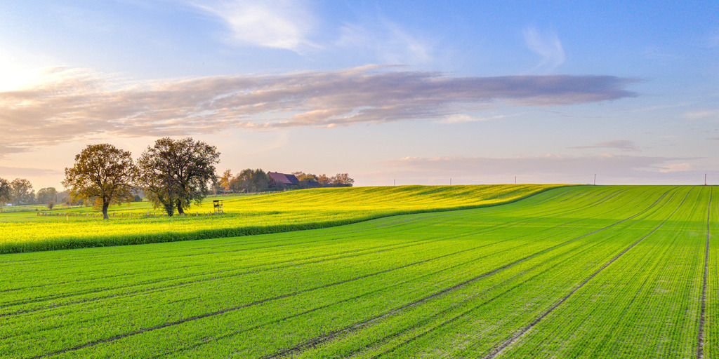 202011Hamm0343-HDR | agm-foto - Realisiert mit Pictrs.com