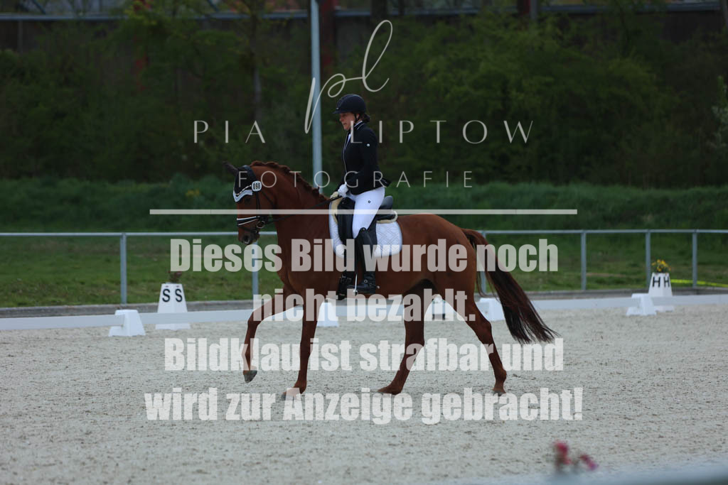 IMGM6002 | pl-fotografie